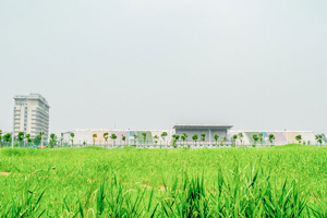 όW(xu)ԺռF(w)I(y)I(y)