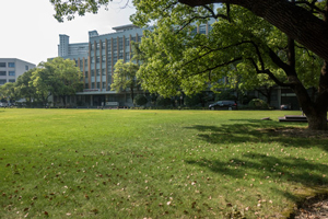 ͨW늚⹤̌WԺI˲BӋ