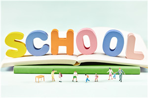 VݸۼW(xu)УW(wng)վW(wng)ַ(y),Ҳ鿴