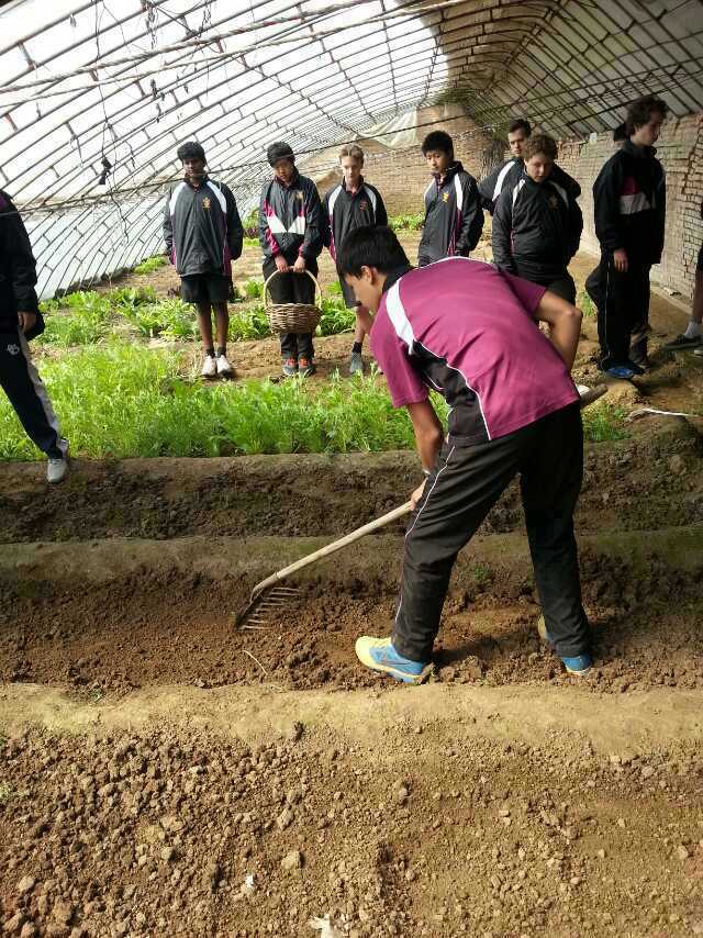 黑利伯瑞國際學校澳洲本校學生圖五