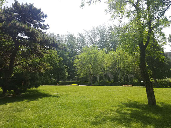 北京理工大學(xué)校園環(huán)境好嗎