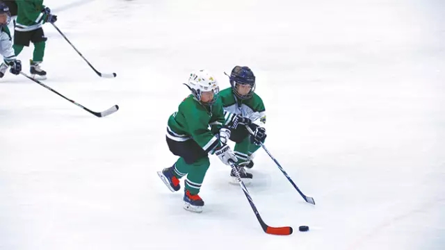 ʯRP۵χHWУwnʼ