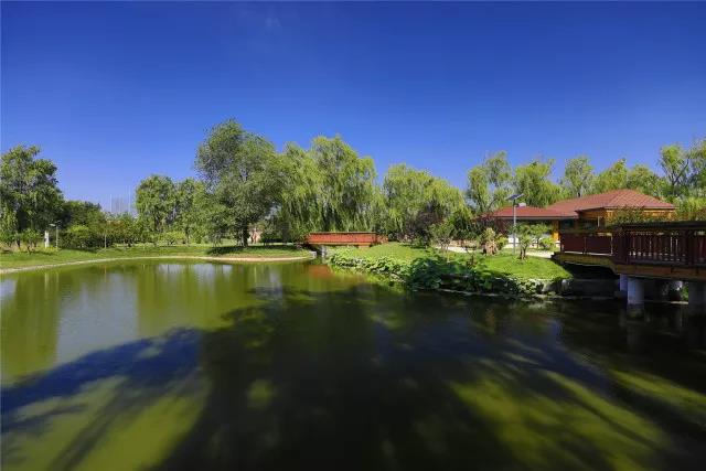 北京海淀凱文學校圖片