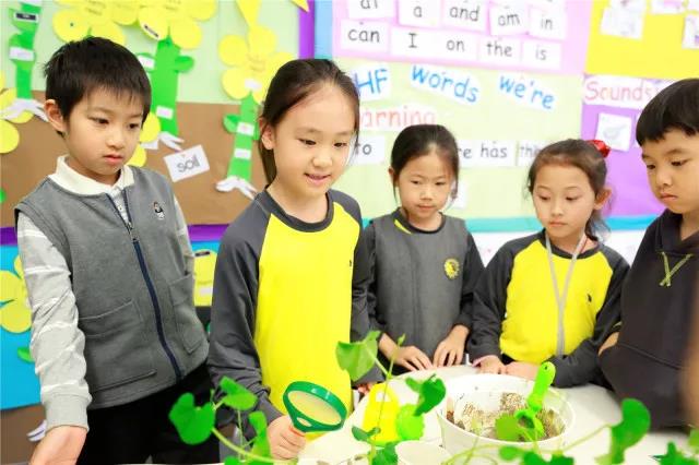 北京海淀凱文學校小班教學