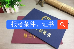 中外合作辦學(xué)碩士