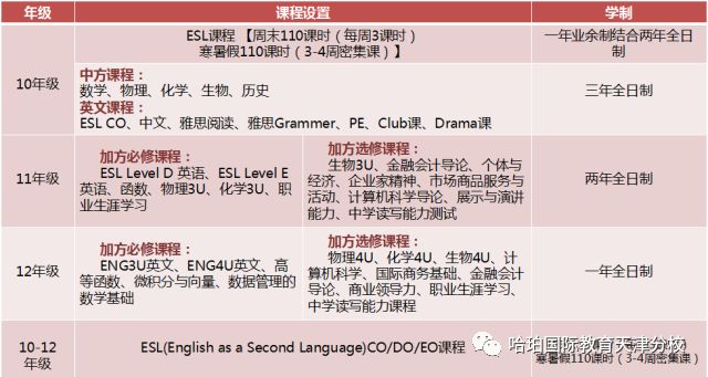 天津大學里有一所北美離岸高中,您知道嗎?