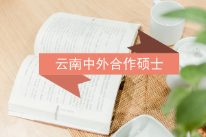 中外合作辦學(xué)碩士