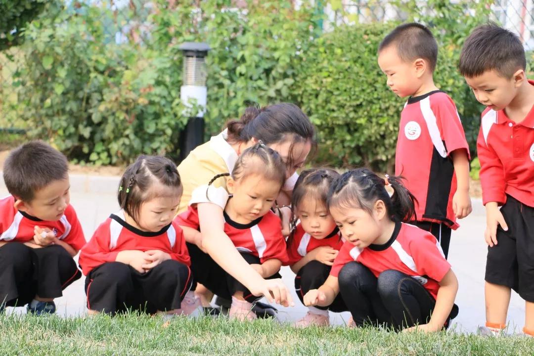 在北京愛迪幼兒園的一天,你的孩子是這樣度過的...