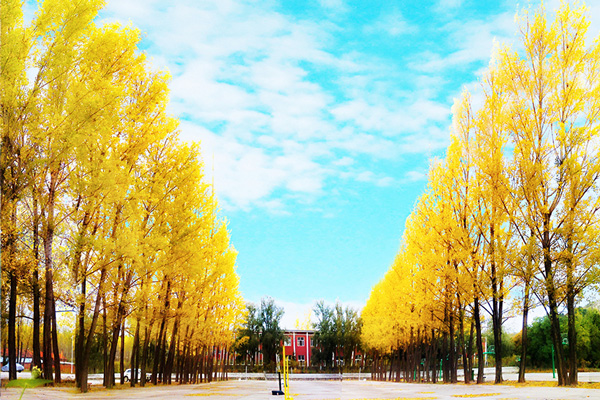 吉林高鐵乘務(wù)專業(yè)學(xué)校有哪些