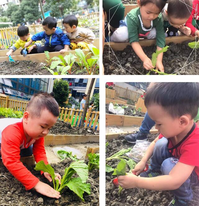 艾毅教育帶你敲開諾貝爾獎的大門