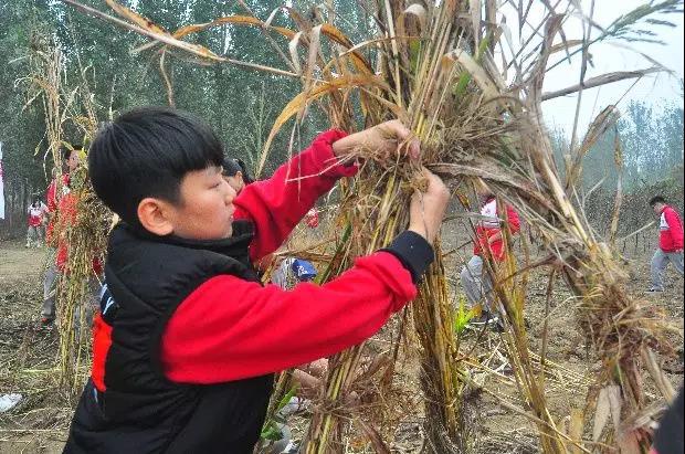 北大益田同文學校秋季在地課程