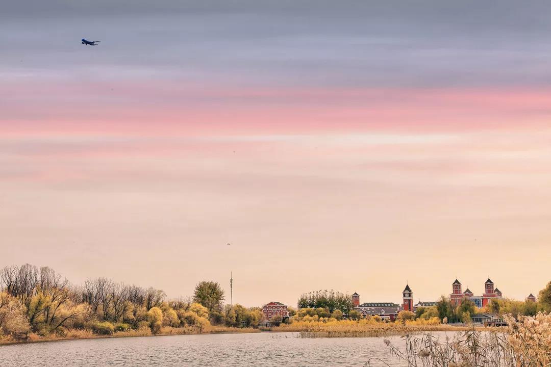 ^F ҂ס˱۵όWУﾰ