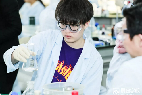 北京愛迪學(xué)校:探微未來教育的新式課堂