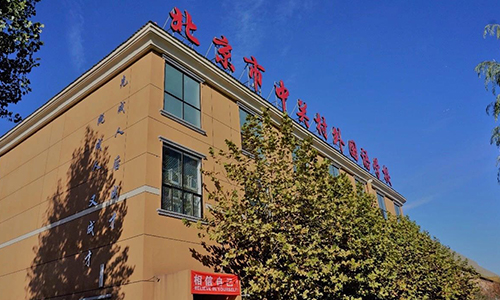 北京國際小學排名