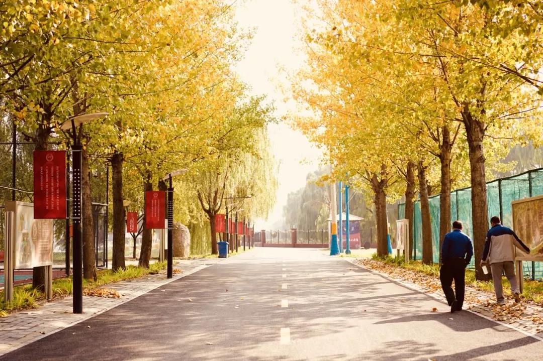 格瑞思國際學校