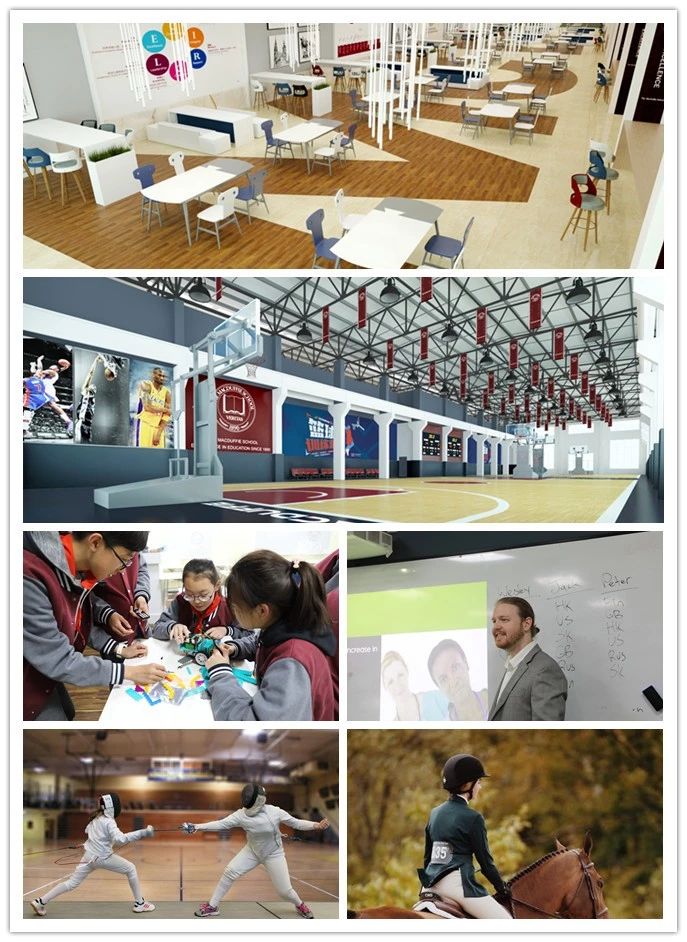 天津美達菲學校