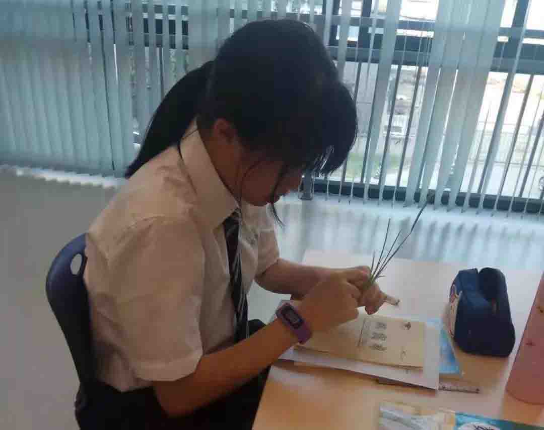 北京房山諾德安達學校