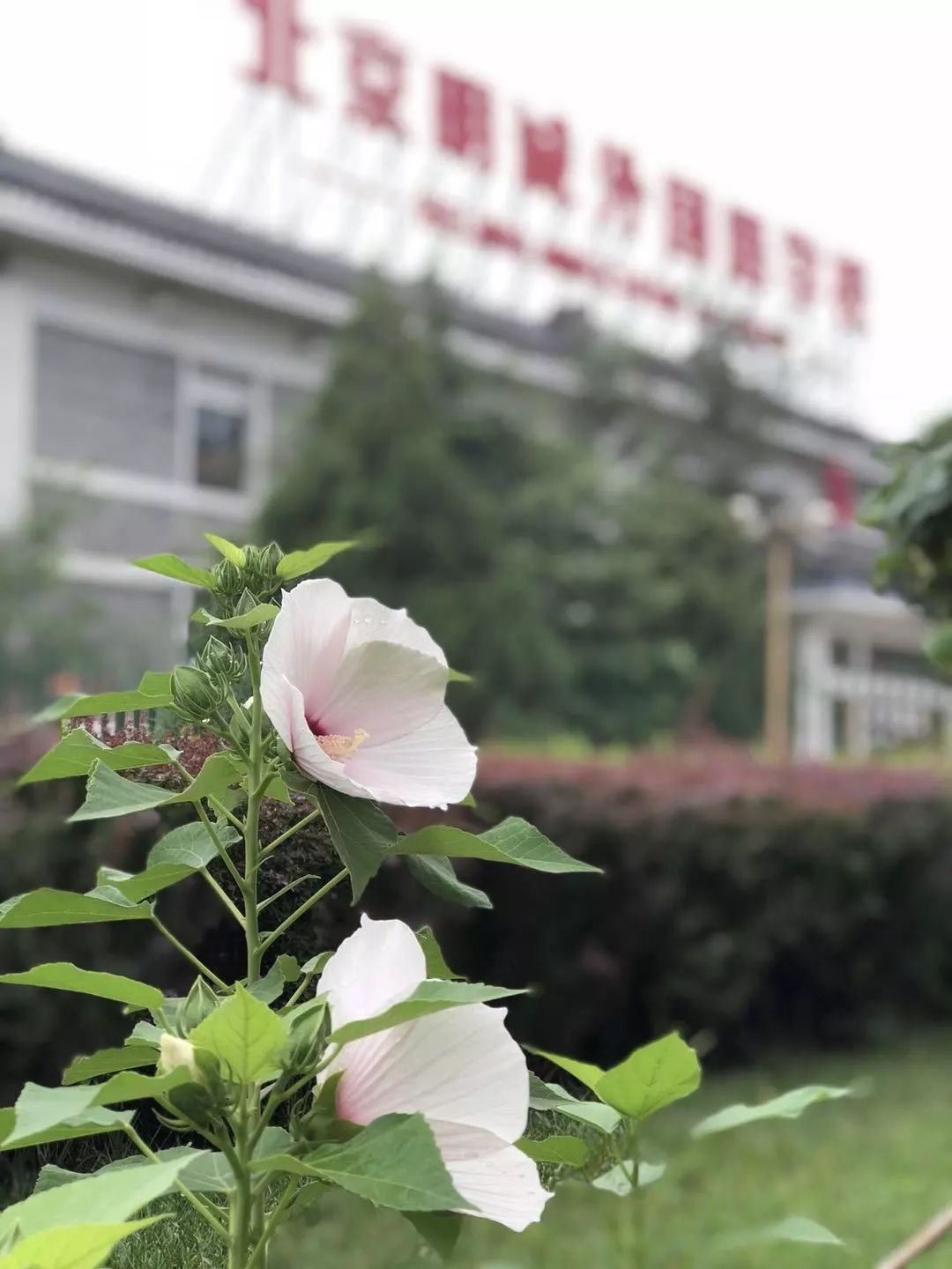 北京明誠外國語學校