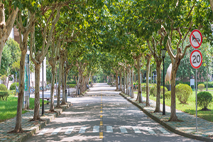 2020雙證在職研究生MBA招生院校匯總