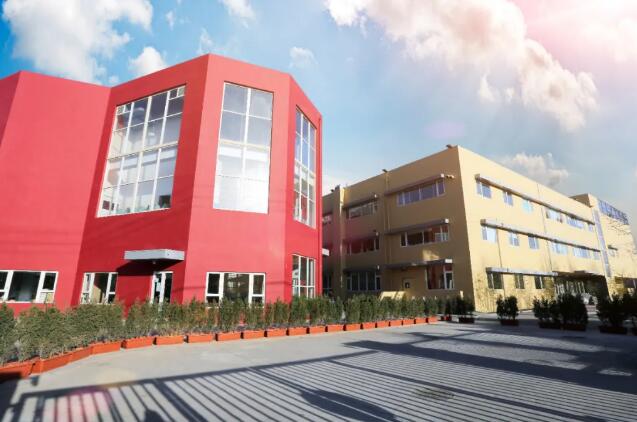 青苗國際雙語學校