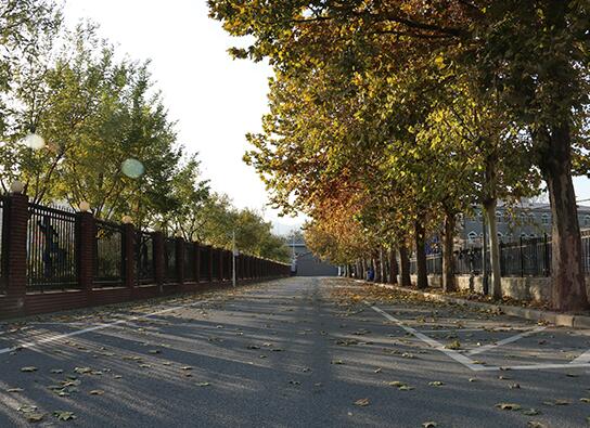 領(lǐng)科教育北京校區(qū)