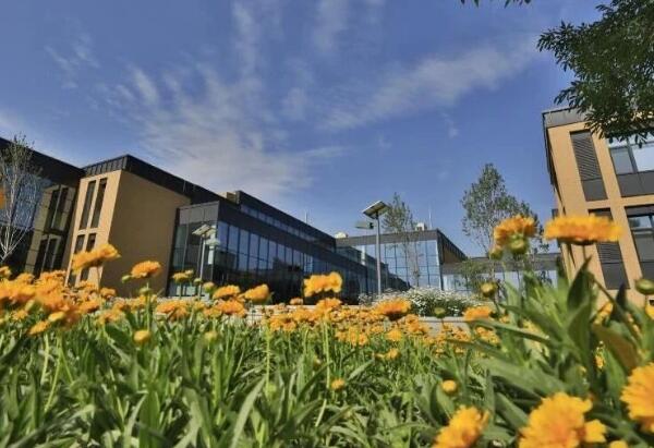 北京海淀凱文學校