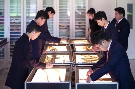 北京力邁中美國際學校