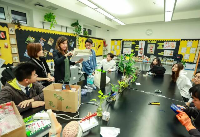 北京市海淀凱文學校