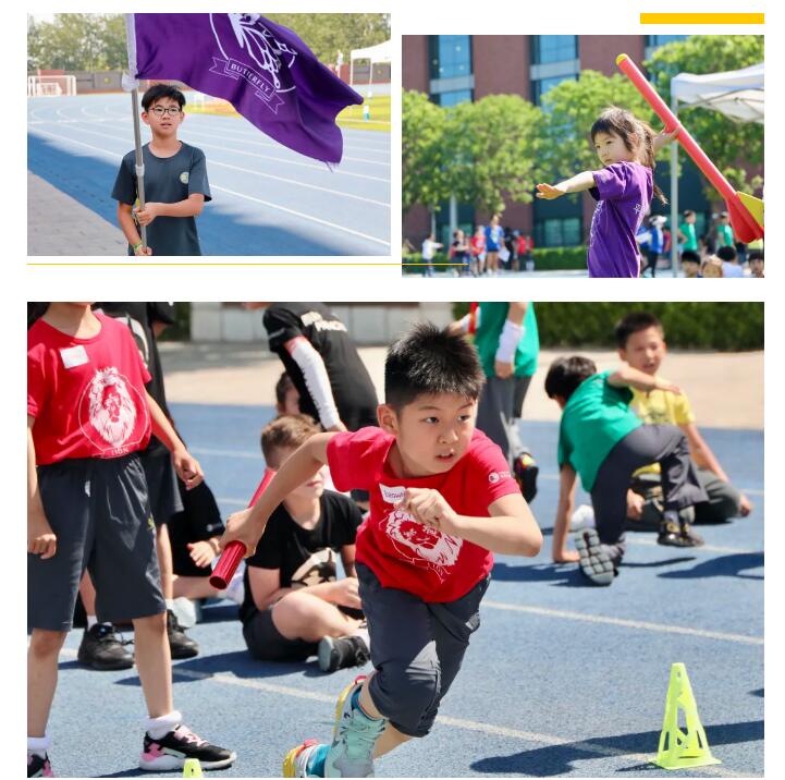 北京市朝陽區(qū)凱文學(xué)校