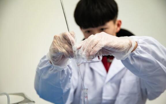 力邁中美國際學校九華校區