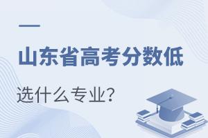 山東省高考分數低選什么專業?