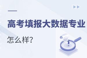 高考填報大數據專業怎么樣?