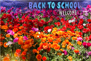 同等學(xué)力申碩學(xué)費(fèi)一年多少錢