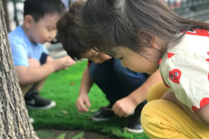 青苗國際幼兒園