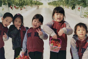 青苗國(guó)際幼兒園