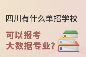 四川有什么單招學校可以報考大數據專業?