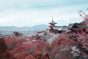 中瑞君華國際教育北京校區