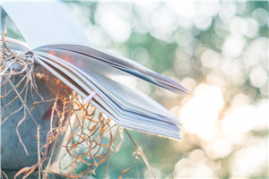 北京市朝陽區正源新亞學校戶籍要求