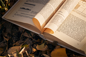 國際在職MBA有哪些報考方式?