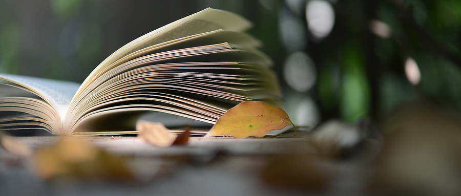 視覺傳達設計專業找什么工作好