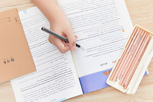 北京朝陽區(qū)正源新亞學校