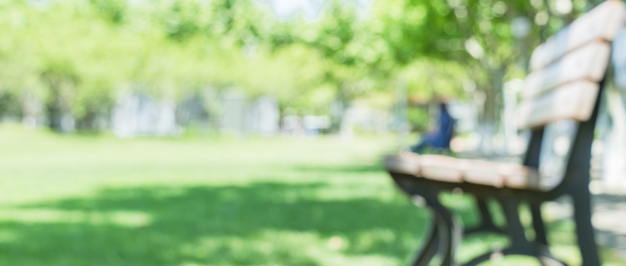 安徽2022年高考分數線劃分