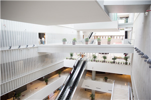 оϾWn߀ǱҪWУӌW