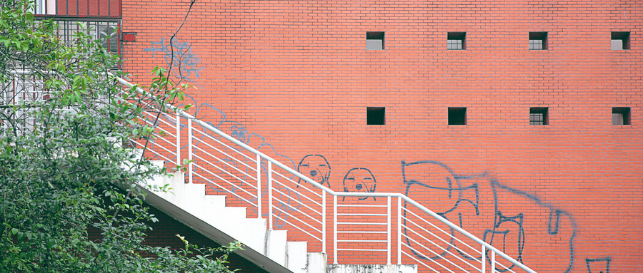 江西高考理科150分的出路,能選哪些學校?