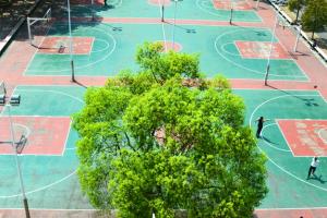 西安文理學院繼續教育學院藝術專業怎么樣？