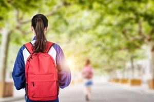 北京朝陽區國際初中入學條件