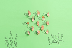 北京同等學(xué)力申碩考試報(bào)名流程有哪些