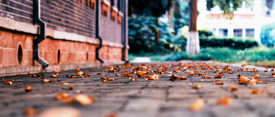 沒有高中畢業證在江蘇可以上什么學校?