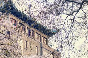 2025年北京第二外國語學院繼續教育學院招生專業有哪些？