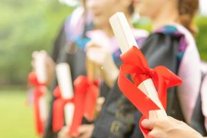 珠?？萍紝W(xué)院2025年各專業(yè)錄取分?jǐn)?shù)線